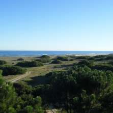 Variety of plots for sale in the Seaside Resort of San Antonio