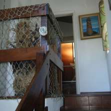 Escalera