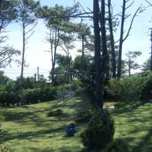 Jardín