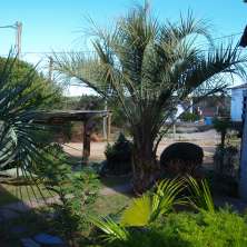 Jardín