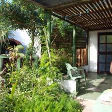 Patio trasero