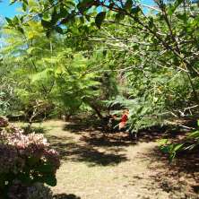 Jardín 
