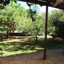 Jardín 