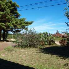 Jardín 