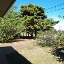Jardín 