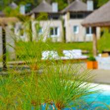 Piscina y Deck Solarium