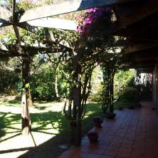 Galería