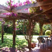 Galería Pergolada