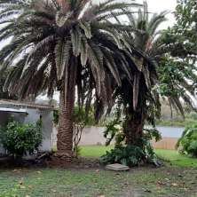 Jardín
