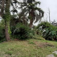 Jardín