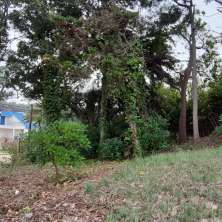 Jardín