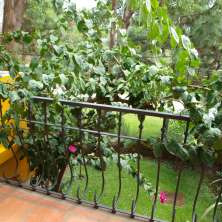 Balcón hacia el jardín