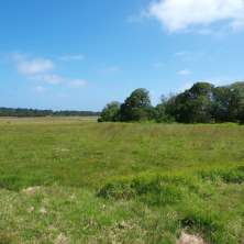 Plot number 43 for sale in La Serena Golf Club de Mar, Rocha, Uruguay