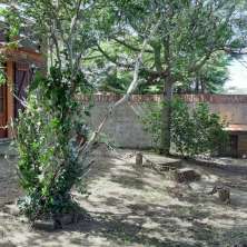 Jardín