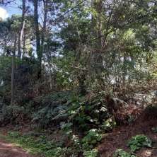 Único y exclusivo lote en venta en el Balneario La Pedrera, Rocha.