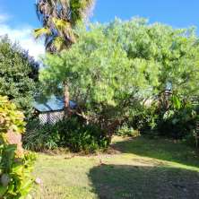 Jardín del fondo