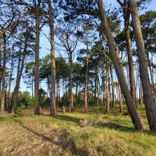 Lots for sale in the Anaconda area of the Seaside Resort La Paloma