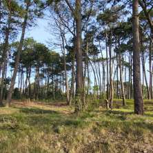 Lots for sale in the Anaconda area of the Seaside Resort La Paloma
