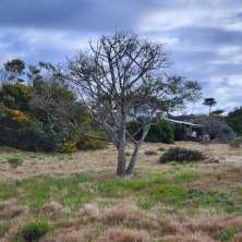 Nice lot for sale situated just two blocks away from the coastal road