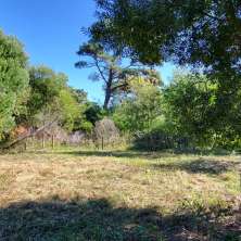 Lot for sale located in a peaceful ​​pine trees forest area Called Playa Serena