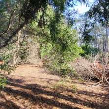 Lot for sale located in Barrio Country in La Paloma Coastal Resort