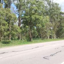 Vista del frente